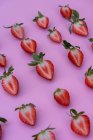 Moitiés de fraises en rangée — Photo de stock