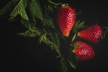 Gros plan de délicieuses fraises texturées avec des herbes sur fond noir — Photo de stock