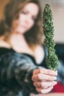 Жінка тримає рослину марихуани — стокове фото