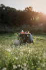 Романтический пикник с яблоками на траве — стоковое фото