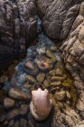 Вид сверху обнаженной женщины, сидящей на камнях и прикасающейся к воде в природе. — стоковое фото