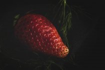 Texturierte köstliche Erdbeere mit Dill auf schwarzem Hintergrund — Stockfoto