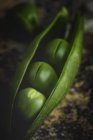 Nahaufnahme grüner Erbsen auf dunklem, verschwommenem Hintergrund — Stockfoto