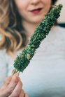 Woman holding marijuana plant — Stock Photo