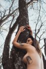 Nackte Frau bleibt im Herbst mit geschlossenen Augen über Baum und entspannt — Stockfoto