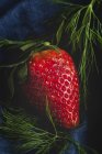 Textured delicious strawberry with dill on black background — Stock Photo