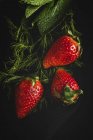 Nahaufnahme von texturierten köstlichen Erdbeeren mit Kräutern auf schwarzem Hintergrund — Stockfoto