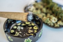 Planta de marihuana o cannabis y pizza - foto de stock