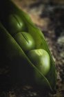 Nahaufnahme grüner Erbsen auf dunklem, verschwommenem Hintergrund — Stockfoto