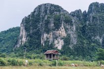 Small wooden hut placed at green picturesque cliffs in nature. — Stock Photo