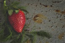 Close-up of textured delicious strawberry on grey surface with dill — Stock Photo