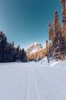 Снежная дорога в Канаде — стоковое фото