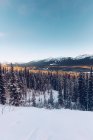 Vista de florestas de coníferas tranquilas nevadas em terreno com gama de montanhas pitorescas sob o céu azul — Fotografia de Stock