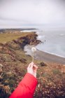 Cropped image of holding delicate dandelion on background of meadow on cloudy day in Asturias, Spain — Stock Photo