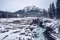 River with snowy banks flowing through cleft?in winter woods with many firs on background with mountains and cloudy sky — Stock Photo