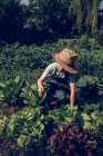 Ragazzo con cappello di paglia e grembiule che lavora in giardino e si prende cura delle verdure — Foto stock
