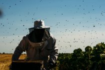 Apiculteur travaillant collecter le miel — Photo de stock