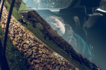 Cute young boy sitting and sleeping in the car parked in nature. — Stock Photo