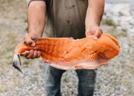 Schmutzige Hände in Fischöl halten große abgeschnittene Platte mit rotem Fischmehl in der Hand — Stockfoto