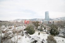 Вид с воздуха на парк, покрытый снегом — стоковое фото