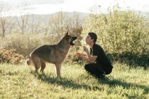 Чоловік грає з собакою в природі — стокове фото