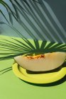 Tranche de melon frais sur fond bleu et vert avec des ombres de feuilles de palmier — Photo de stock