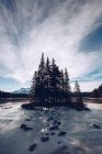 Piccola isola con pochi abeti invernali in costa stagno fuso circondato da boscaglia sulle montagne e cielo nuvoloso sfondo — Foto stock