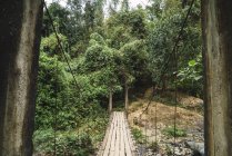 Antiguo puente de madera gruñón en bosques verdes - foto de stock