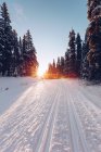 Camino nevado en Canadá - foto de stock
