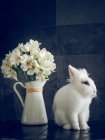 Lapin moelleux et fleurs blanches en vase sur fond sombre — Photo de stock