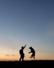Homem brincando com cão na natureza — Fotografia de Stock