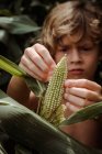 Хлопчик тримає кукурудзу на кукурудзяному полі — стокове фото