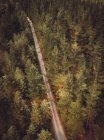 Вид с воздуха на асфальтированную сельскую дорогу в зеленых лесах — стоковое фото
