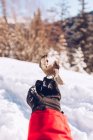 Рука фермера в перчатке с маленькой дикой птицей на фоне снега и солнечного света, Канада — стоковое фото