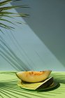 Ломтики свежей дыни на голубом и зеленом фоне с тенями пальмовых листьев — стоковое фото