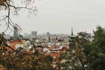 BRATISLAVA, SLOVACCHIA, 2 OTTOBRE 2016: skyline della città vecchia e torre di San Michele tra gli alberi autunnali — Foto stock