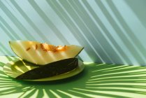 Slices of fresh melon on plate on blue and green background with shadows of palm leaves — Stock Photo