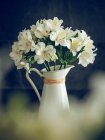 Pitcher of white blooming bouquet on dark background — Stock Photo