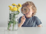 Любопытный маленький мальчик держит увеличительное стекло и смотрит через него на банку с красивыми одуванчиками — стоковое фото