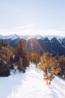 Winter forest on snowy hills on background with cloudy sky and sunshine?with picturesque mountains with highland rivers — Stock Photo