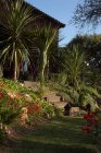 Bâtiment en pierre avec escaliers debout dans le jardin avec des palmiers verts et des fleurs sur fond de ciel bleu sans nuages — Photo de stock