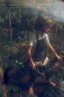 Niño escuchando música mientras trabaja en invernadero - foto de stock