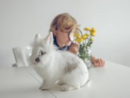 Cute toy rabbit standing on table near blurred boy looking at dandelions through magnifying glass — Stock Photo