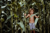 Petit garçon en short dans le champ de maïs — Photo de stock