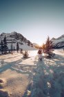 Personas caminando en el campo nevado en Canadá - foto de stock