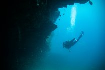 Divers near a wall, fuerteventura canary islands — Stock Photo