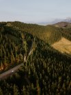 Asphalt Landstraße in grünen Wäldern in den Bergen — Stockfoto