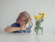Boy with magnifying glass looking at dandelions — Stock Photo