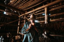LA HABANA, CUBA - 1 MAGGIO 2018: Uomo adulto serio che tiene accendino e sigaro guardando la fotocamera tra l'essiccazione del tabacco nel fienile dell'azienda agricola. — Foto stock