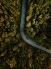 Car driving on rural road in green woods — Stock Photo